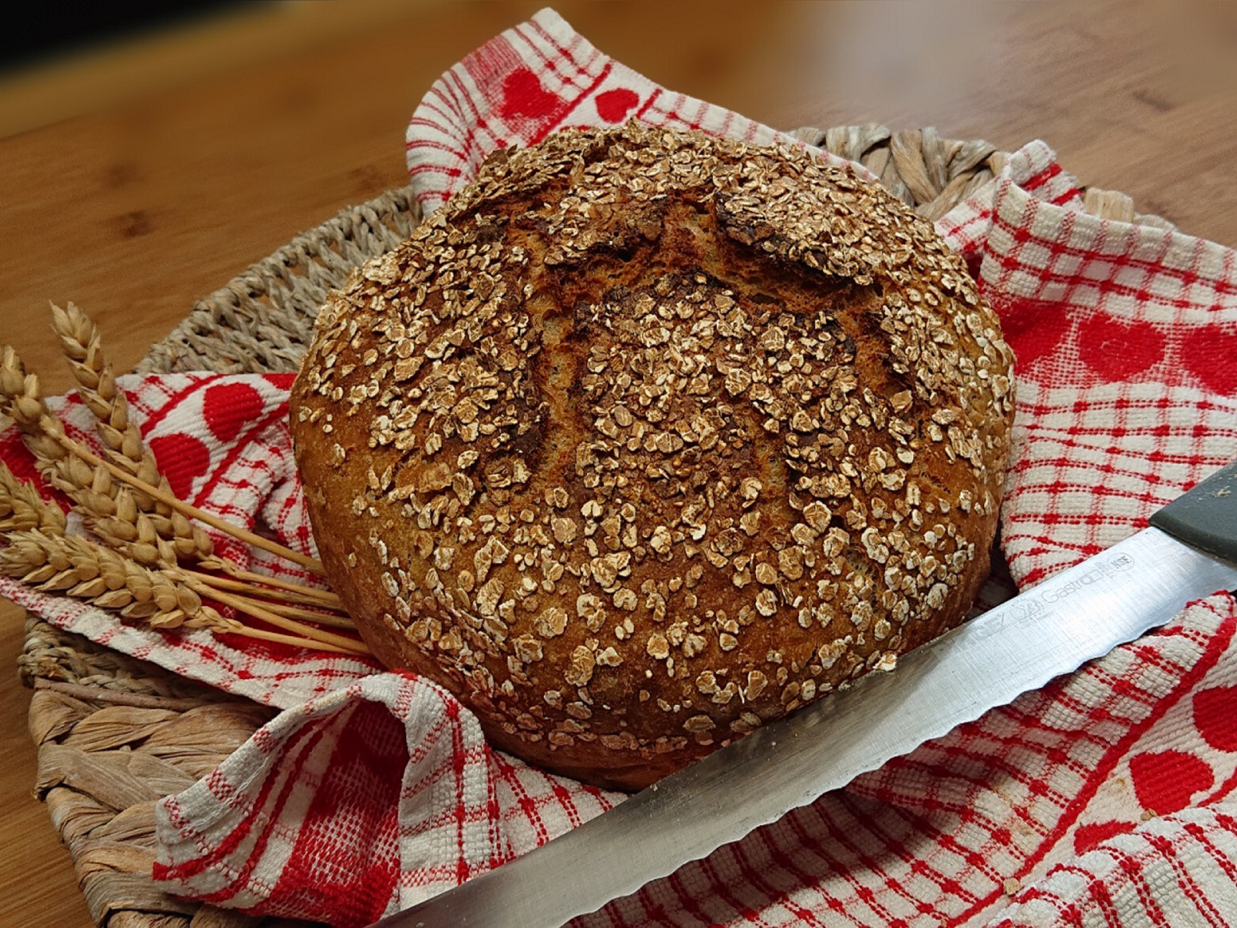 Michlhof - Ferienwohnungen Brotbackkurse Geschirrmobil