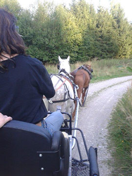 Michlhof - Ferienwohnungen Brotbackkurse Geschirrmobil