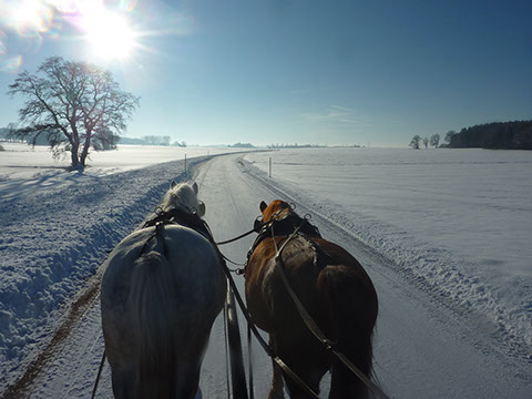 Michlhof - Ferienwohnungen Brotbackkurse Geschirrmobil